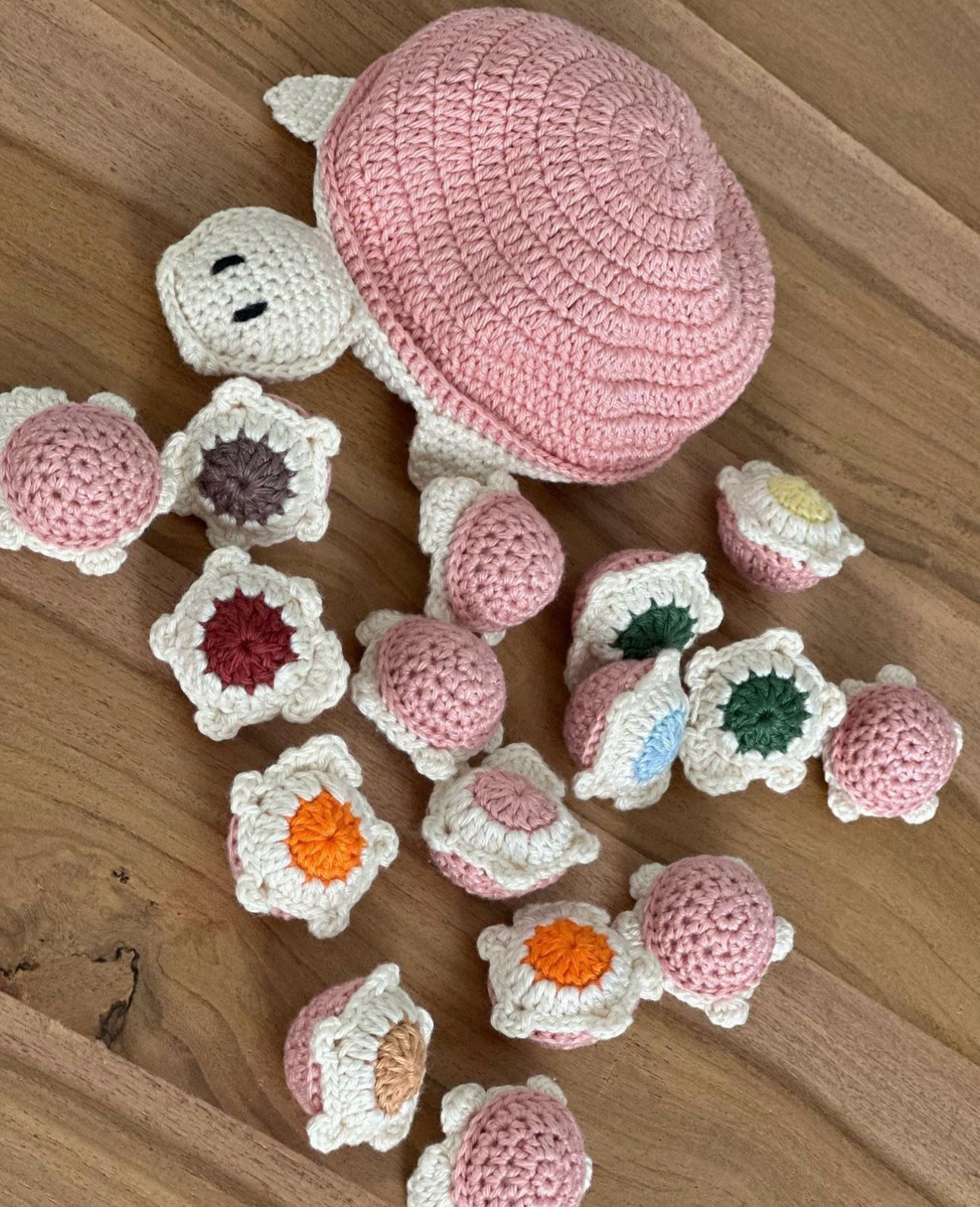 Tortoise Memory Turtle