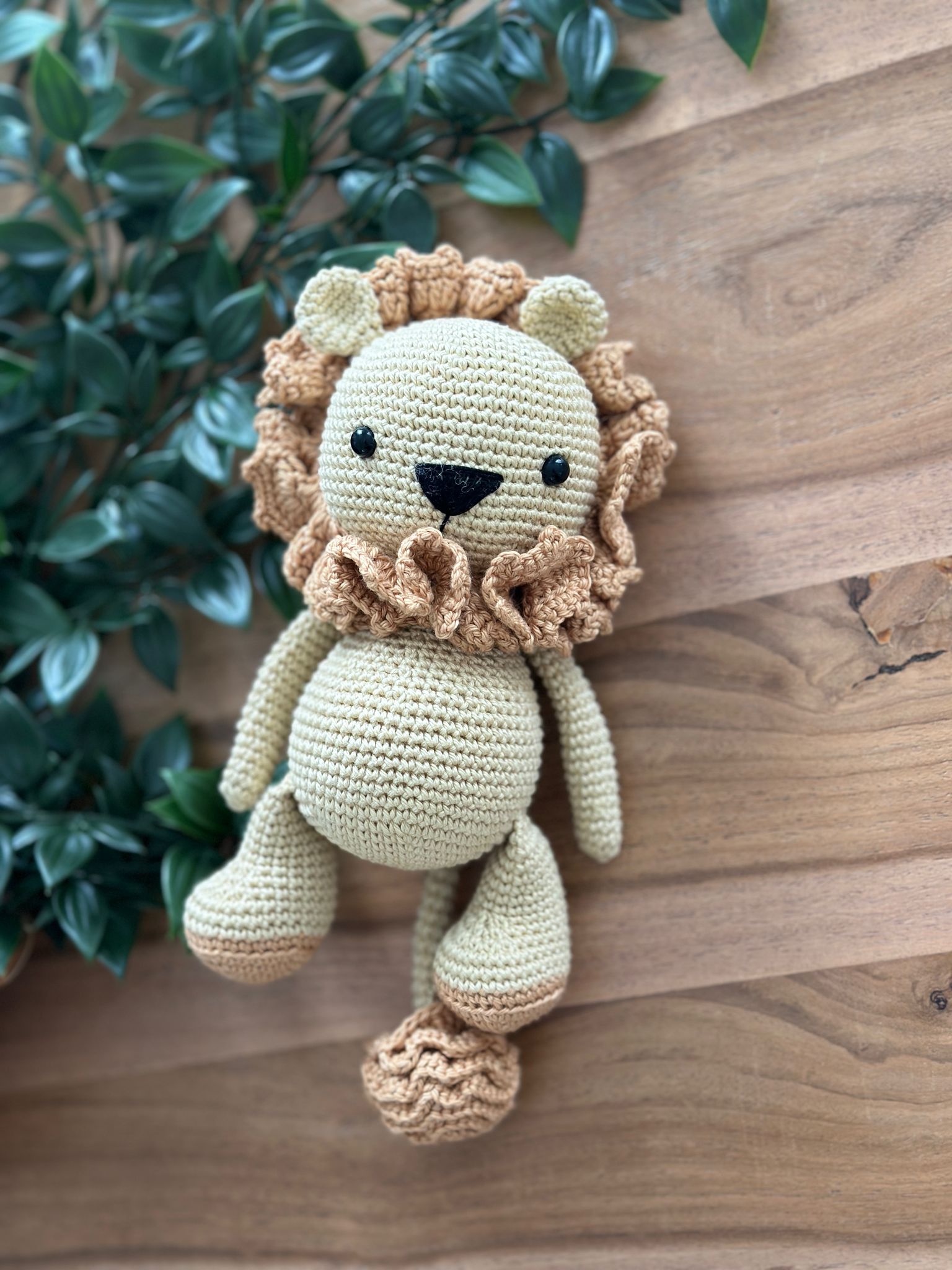 Handmade Crochet Lion Set