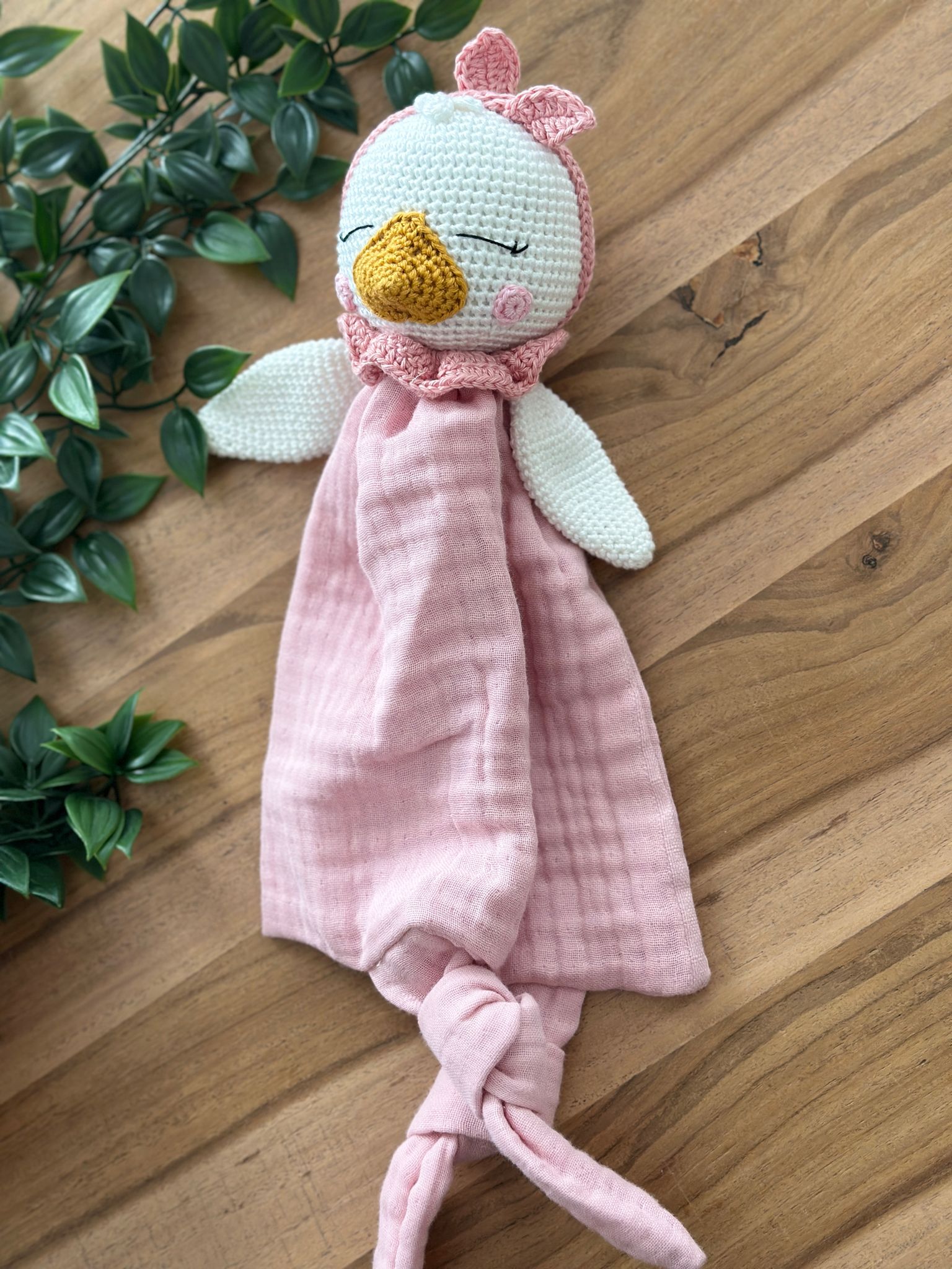 Handmade Crochet Duck Set